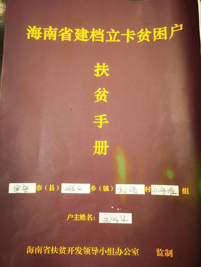 定安慈善：公益之光温暖千家万户